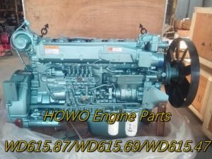 HOWO Engine Parts WD615.87 WD615.69 WD615.47